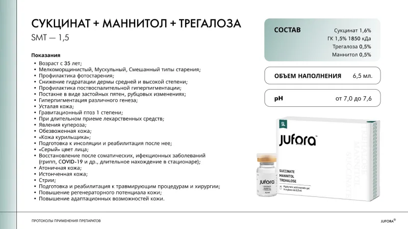 protokol